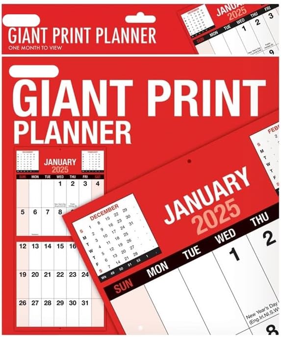 2025 Giant Print Month To View Bound Wall Planner Calendar – CK